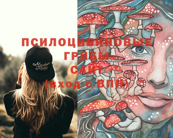 мяу мяу мука Алексеевка