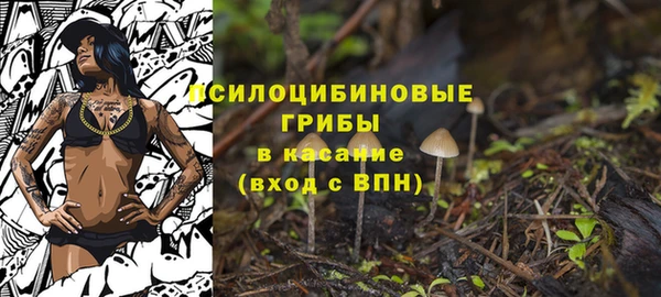 ALPHA-PVP Алексин