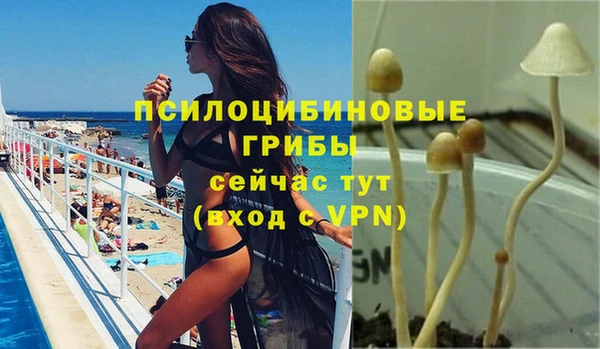 ALPHA-PVP Алексин