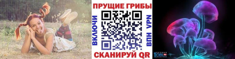 Псилоцибиновые грибы ЛСД блэк спрут маркетплейс Новоульяновск